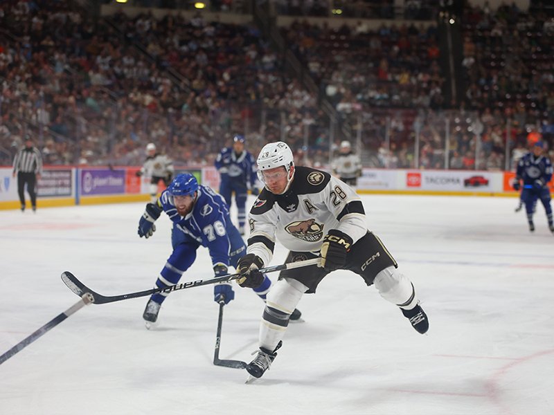 Hershey Bears Hockey Players In Middle of A Game