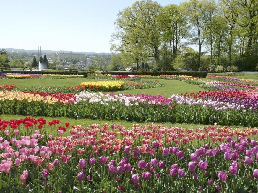 Hershey Gardens Flowers